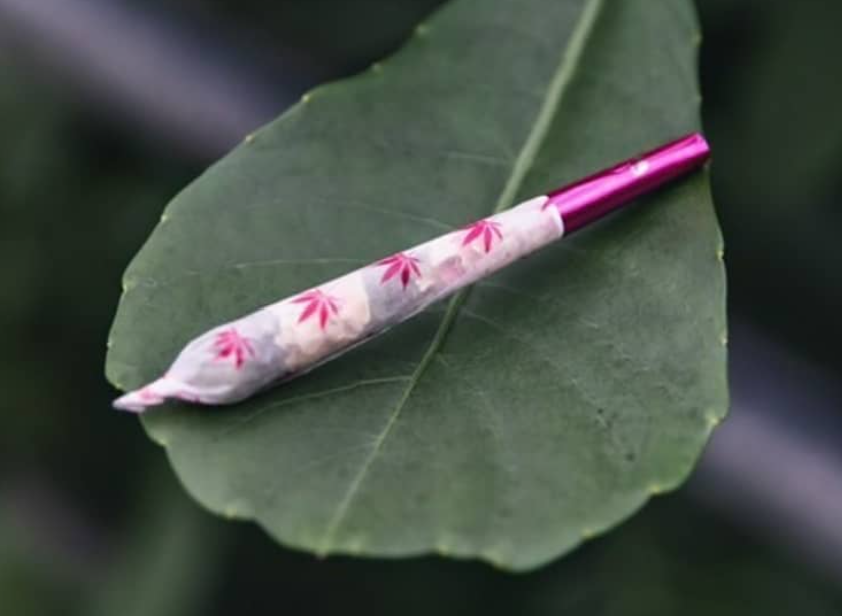 Lady Joint pink pre-roll cone
